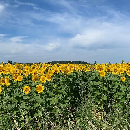 Appartement Maison Le Fée Serecourt