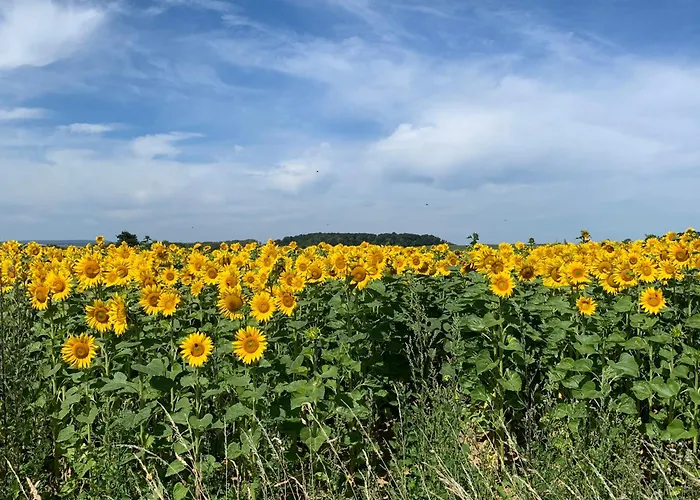 Appartement Maison Le Fee Serecourt